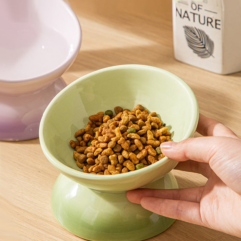 Gradient Ceramic Cat Bowl