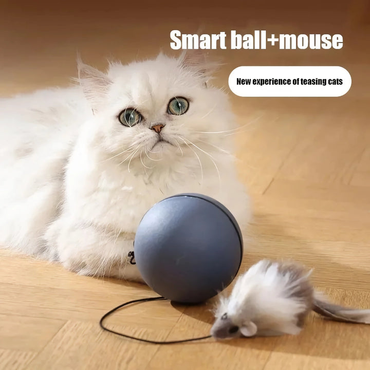 Madden Cat Toys - Automatic Teasing Mouse Stick & Electric Cat Ball for Expending Energy