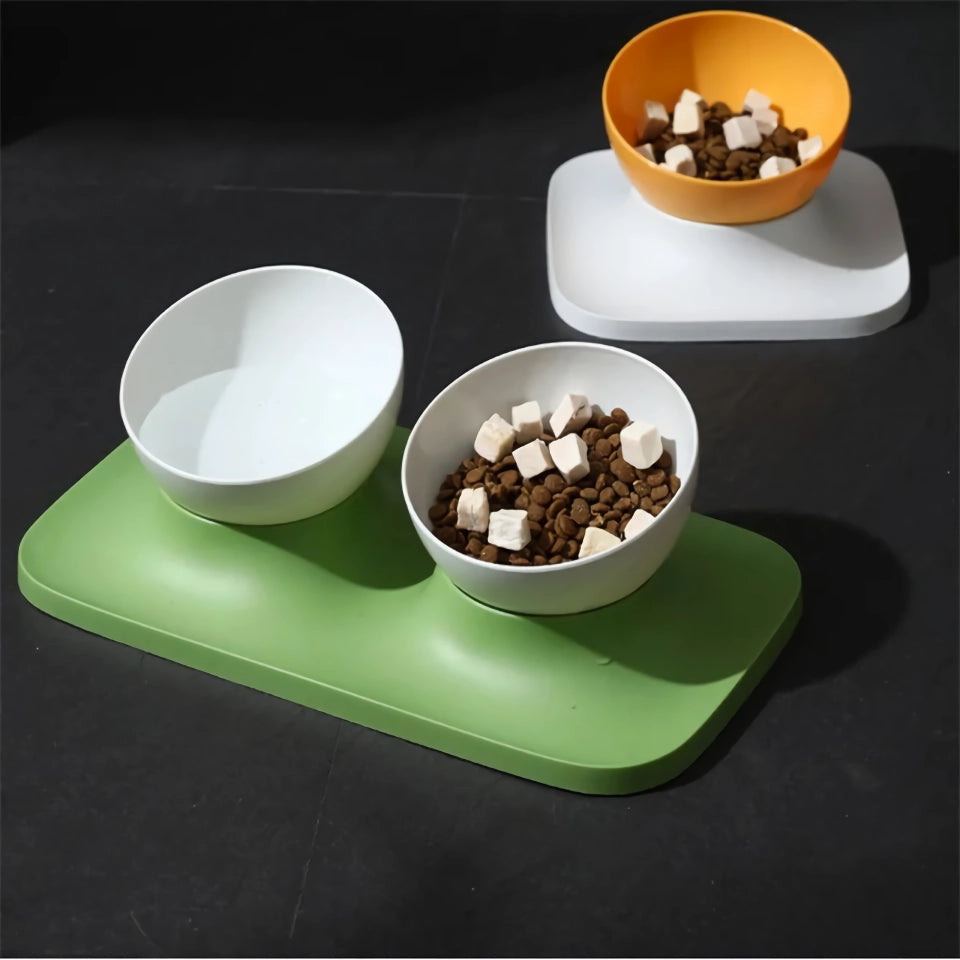 Adjustable Anti-Upset Double Bowl Feeding Station for Cats and Dogs