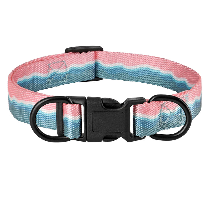 Adjustable Nylon Dog Collar