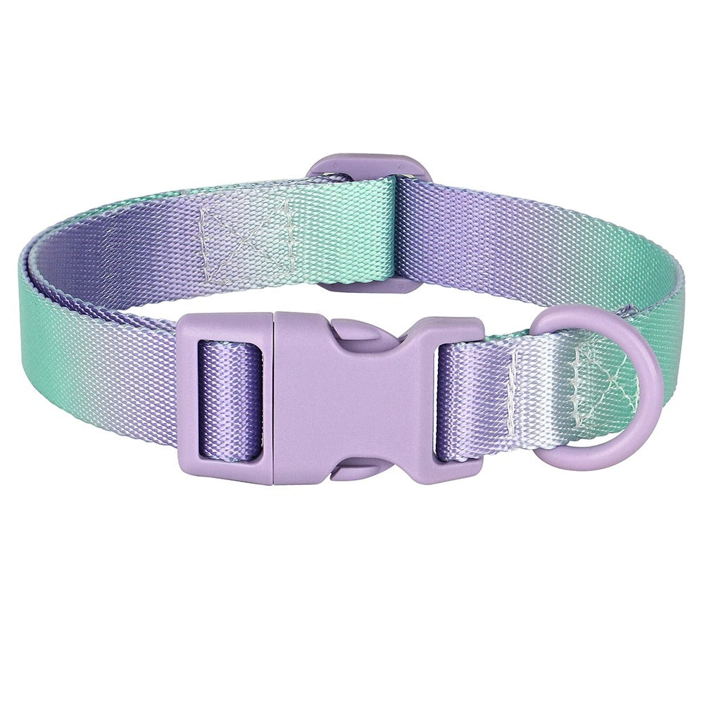 Colorful Print Nylon Dog Collar