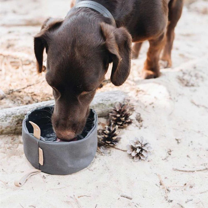 1000ml Foldable Waterproof Canvas Dog Bowl