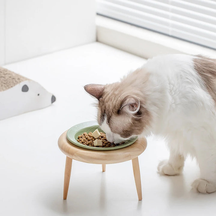 Elevated Cat and Small Dog Ceramic Food and Water Bowls with Wooden Stand