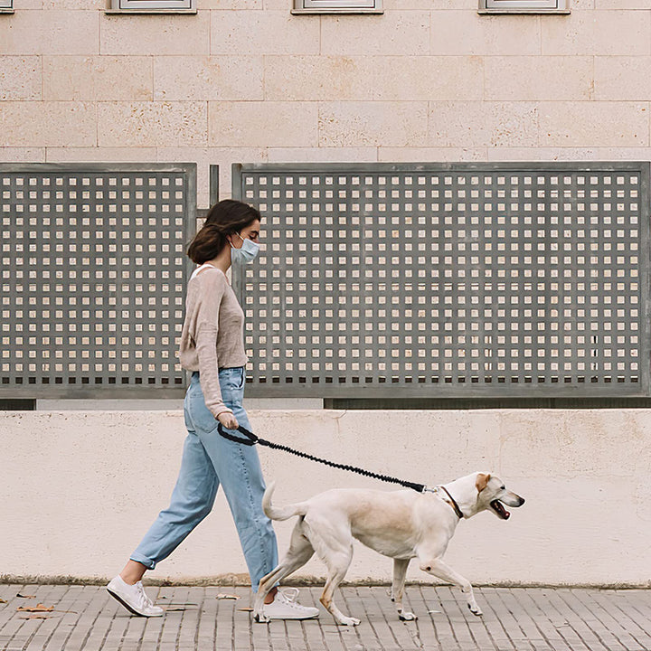 Stretchable Dog Leash