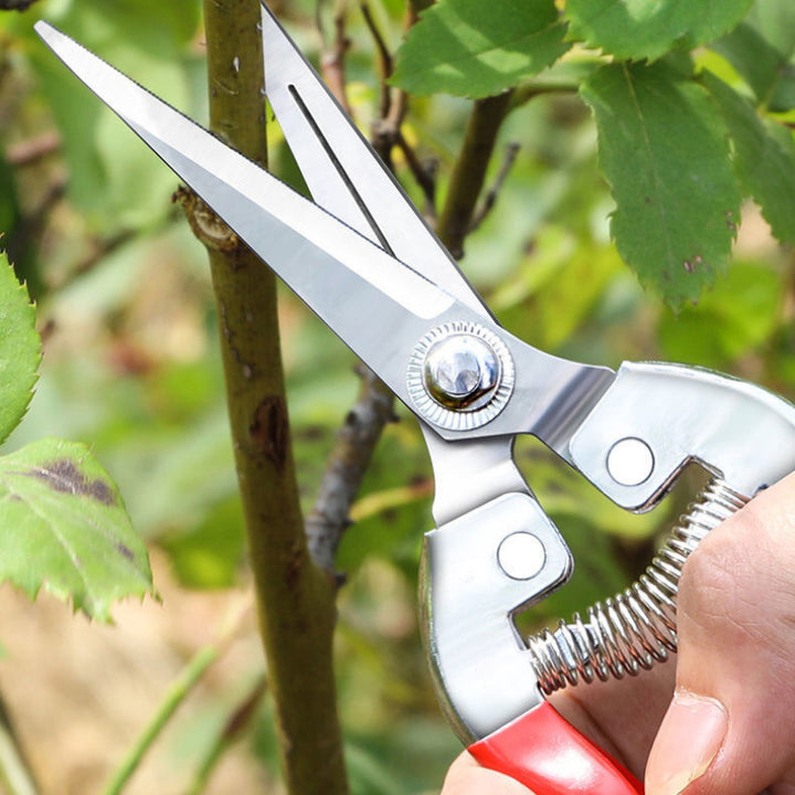 High Precision Stainless Steel Gardening Pruners for Fruit and Bonsai