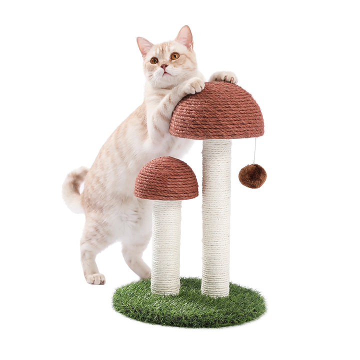 Cat Scratching Post with Natural Sisal Rope for Kittens