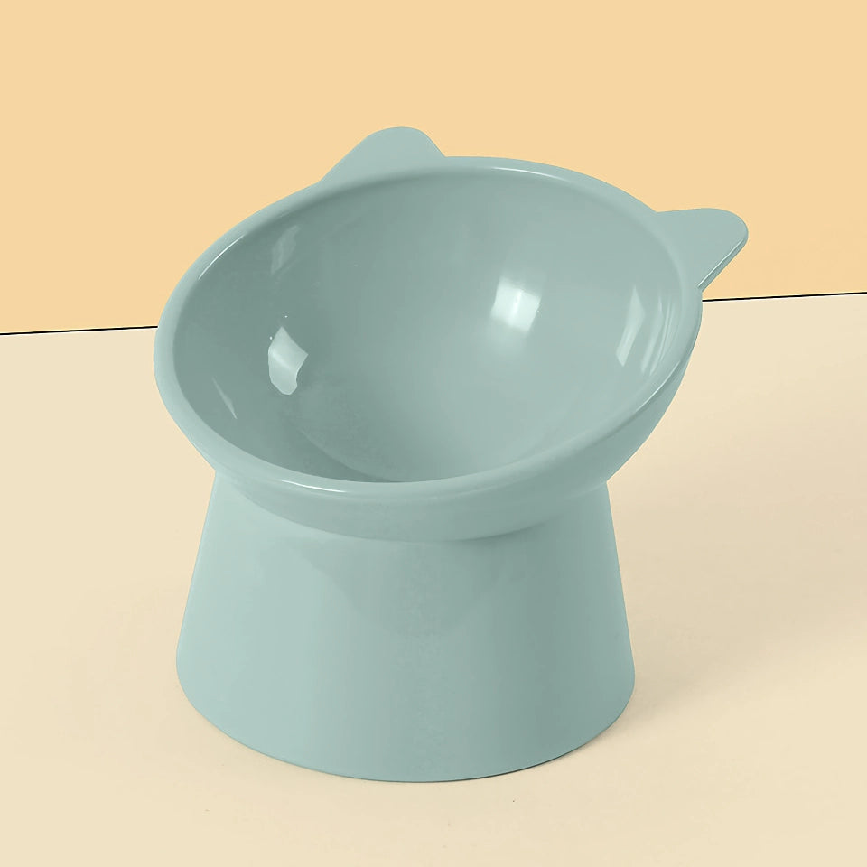 Elevated Cat and Dog Bowl with 45-Degree Tilt