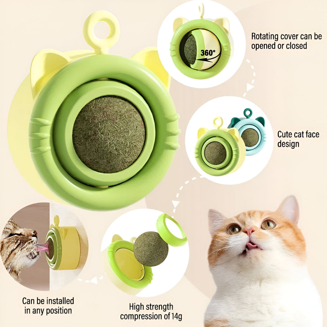 Rotating Catnip Ball Toy for Cats