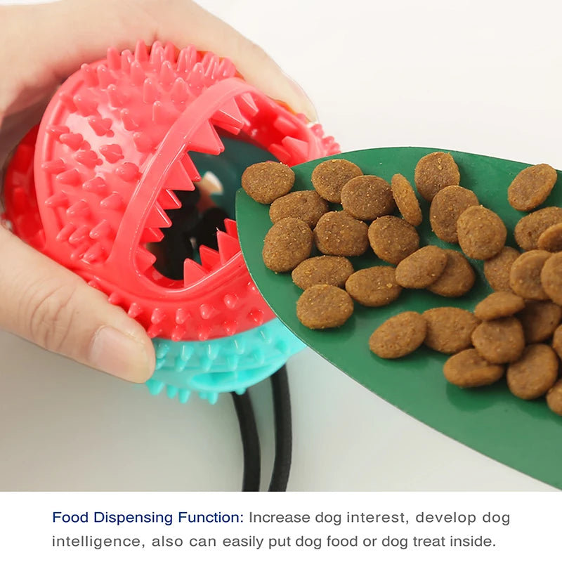 Interactive Large Dog Chew Toy