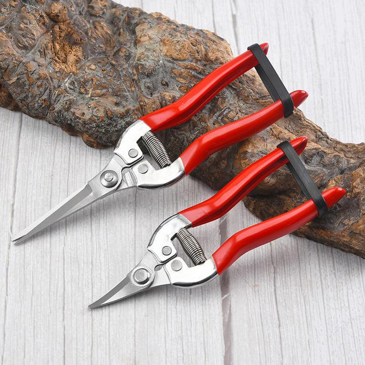 High Precision Stainless Steel Gardening Pruners for Fruit and Bonsai