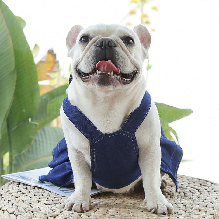 Chic Denim Dog Vest Harness