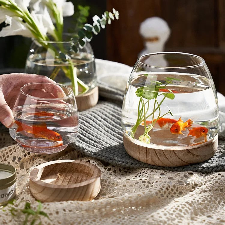 Elegant Glass Desktop Fish Tank