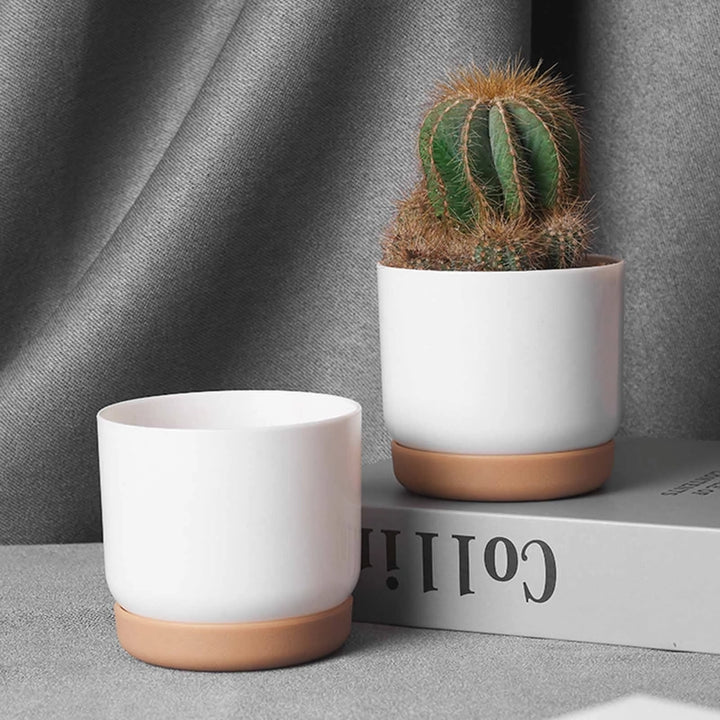 Double-Layer Self-Watering Succulent Plant Pot for Home Decor