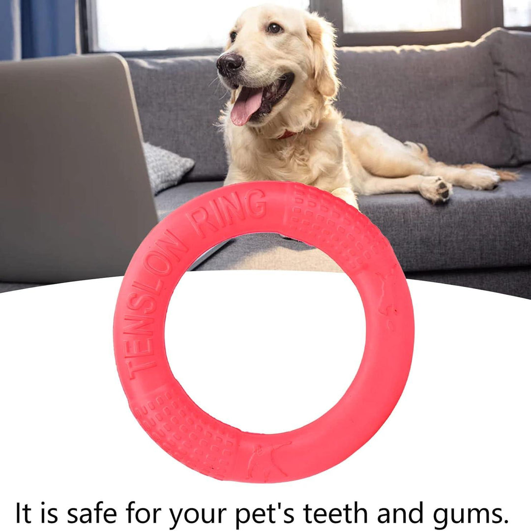 Interactive Dog Chew Toy