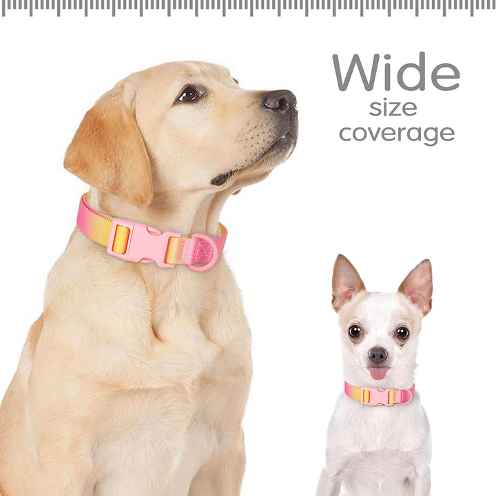 Colorful Printed Nylon Dog Collar