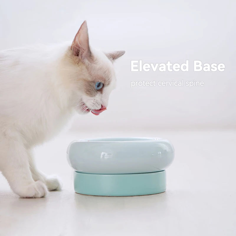 2-in-1 Elevated Feeding Bowls