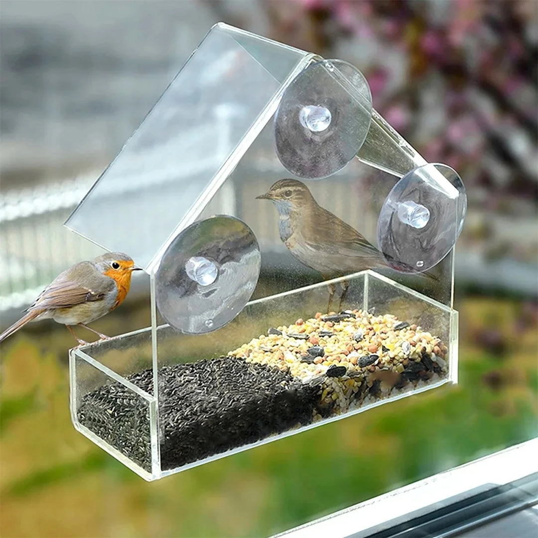 Window Wild Bird Feeder House