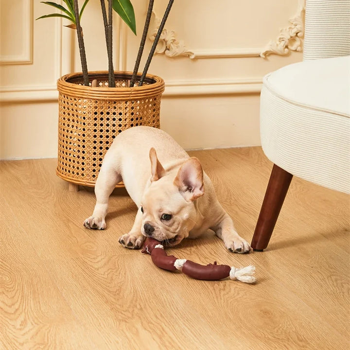 Durable Cotton Rope & Vinyl Sausage Toy for Pets