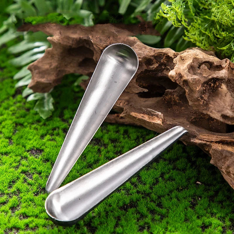 Stainless Steel Bird Food Adding Spoon