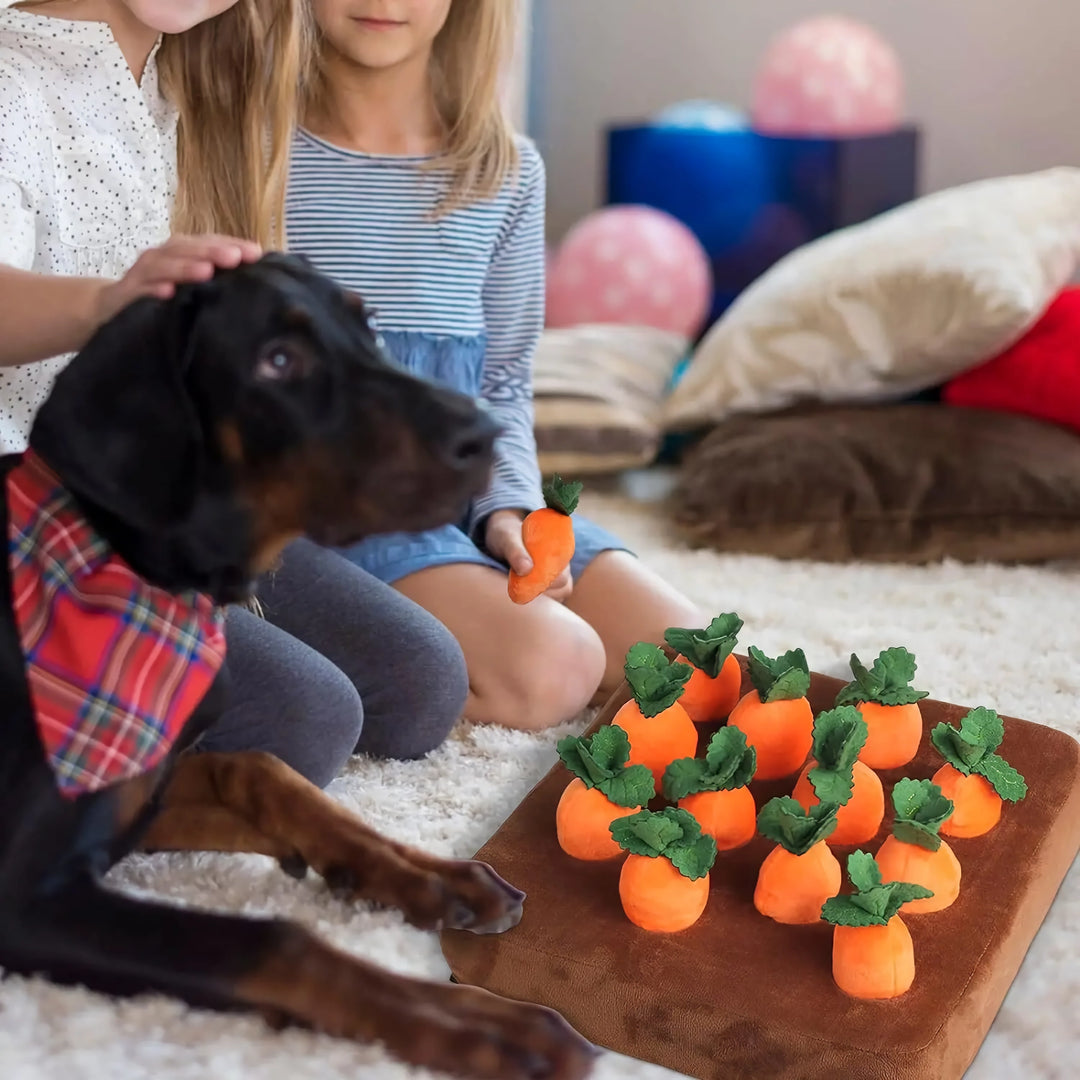 Interactive Plush Carrot Farm Dog Toy