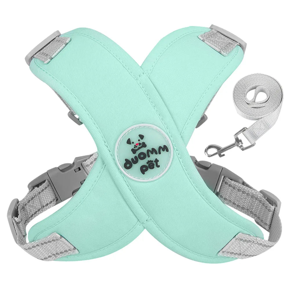 Adjustable No-Pull Dog Harness with Leash Set