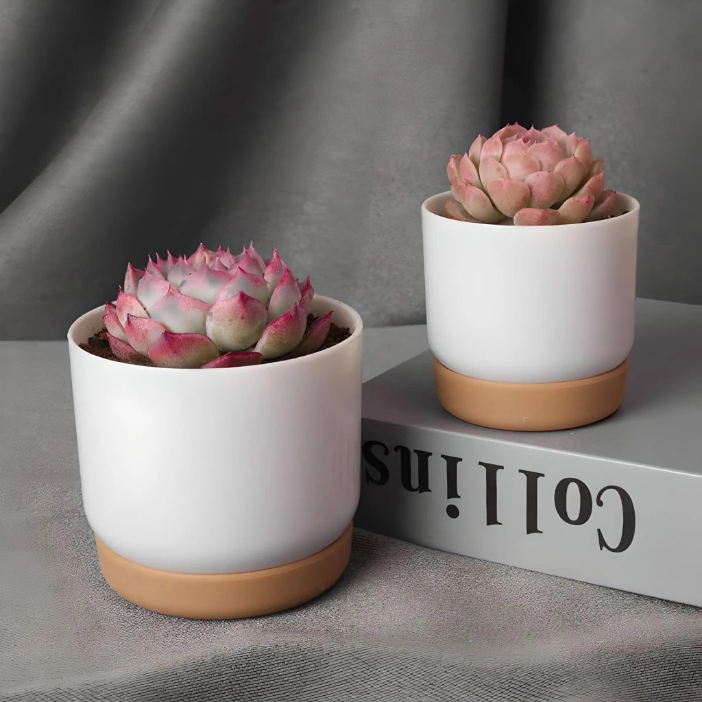 Double-Layer Self-Watering Succulent Plant Pot for Home Decor