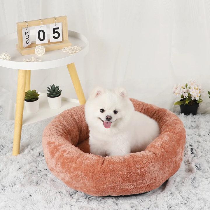 Fluffy Dog Cushion Bed