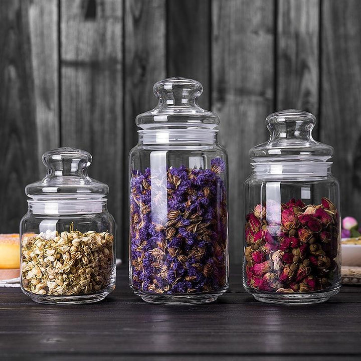 Portable Glass Tea Storage Jar