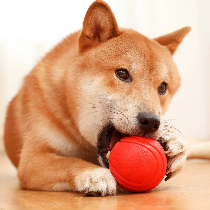 Rubber Bite-Resistant Dog Training Ball