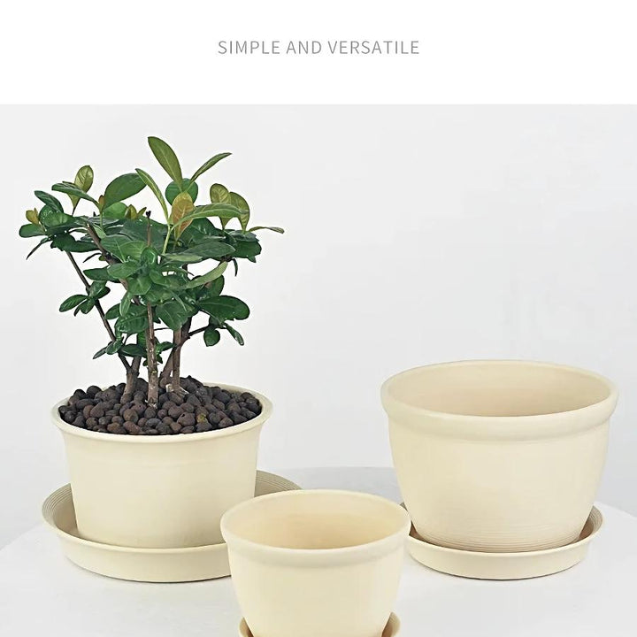 Round Ceramic Style Indoor Plant Pot with Tray