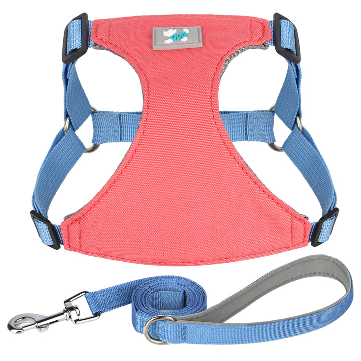 Adjustable Nylon Dog Harness and Leash Set for All Breeds