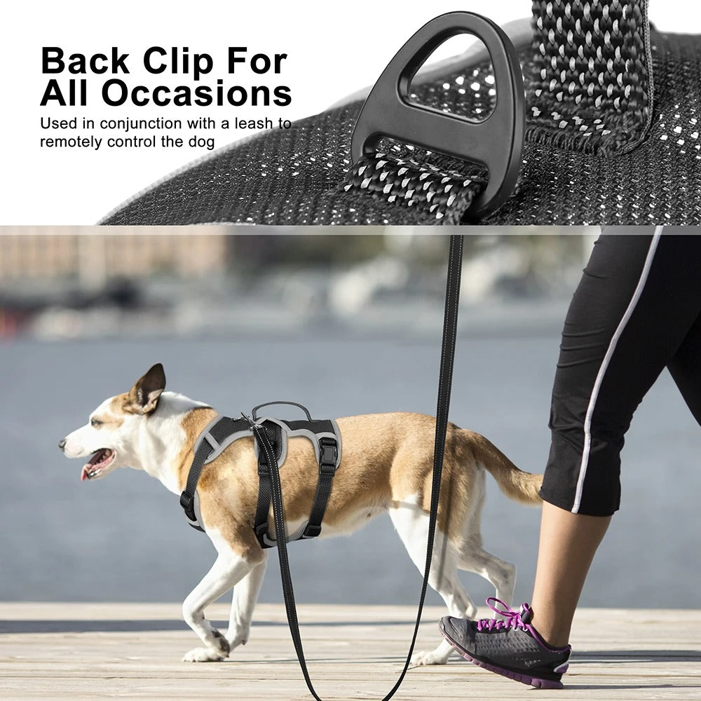 Adjustable Reflective Nylon Dog Harness for Training