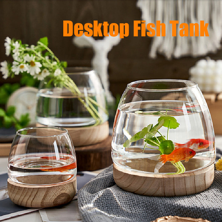 Elegant Glass Desktop Fish Tank