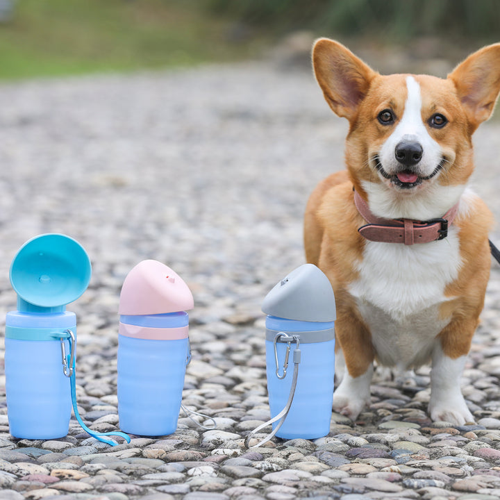 Portable Pet Water Bottle