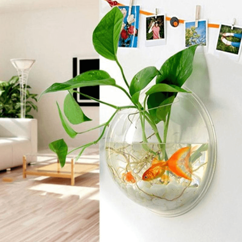 Creative Wall Hanging Transparent Glass Vase Fish Tank Hydroponic Living Room Home Decor - Trendha