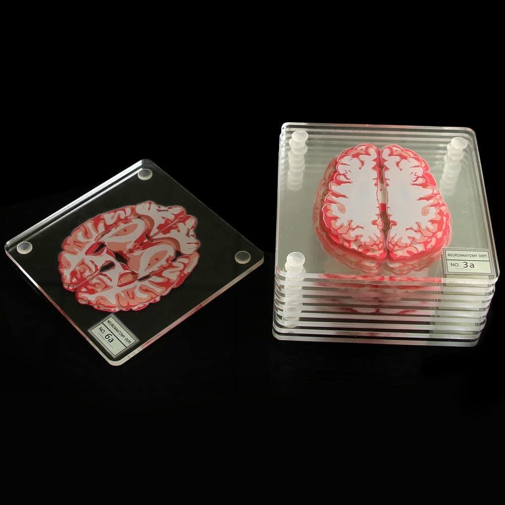 3D Brain Printed Table Coaster - Trendha