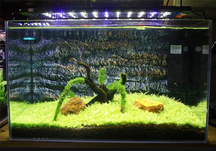Aquarium LED Lighting Fixture - Trendha