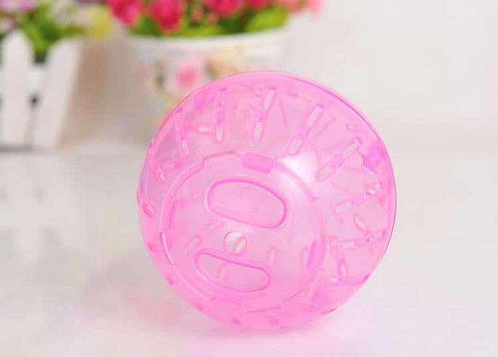 Ball Toy for Small Pets - Trendha