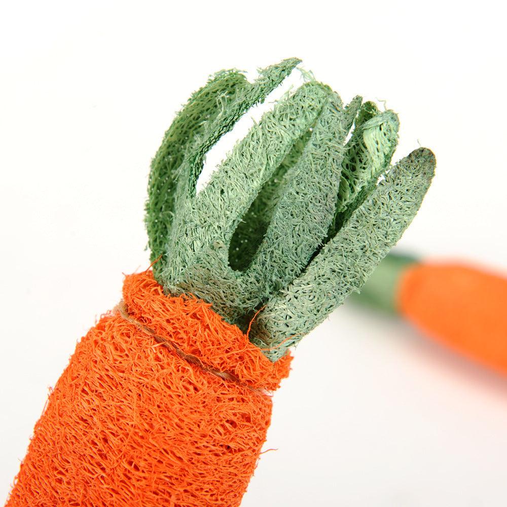 Chew Carrot Shaped Toy - Trendha