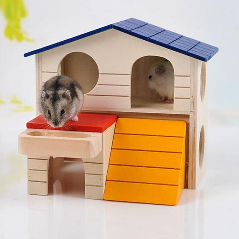 Color Block House for Small Animals - Trendha