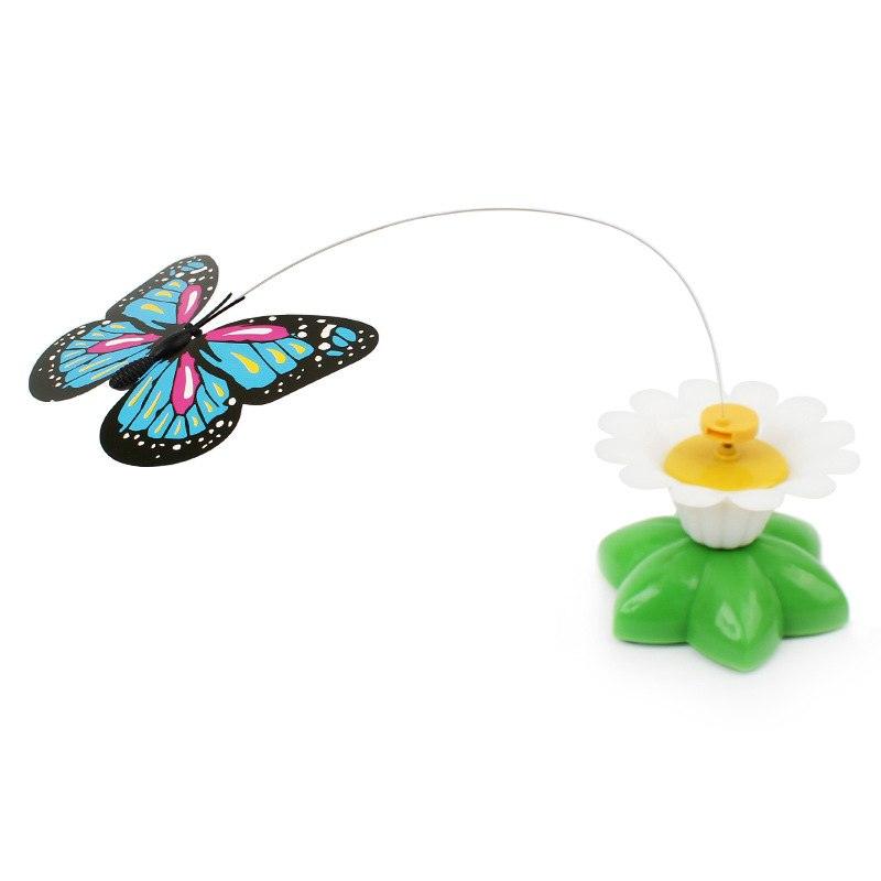 Colorful Electric Butterfly and Bird - Trendha