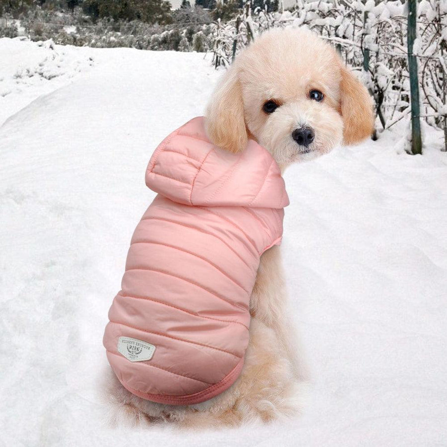 Cute Cotton Blend Coat For Small Dogs - Trendha