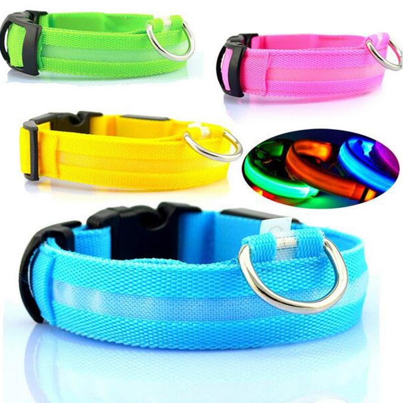 Safety LED Luminous Nylon Collar for Pets - Trendha