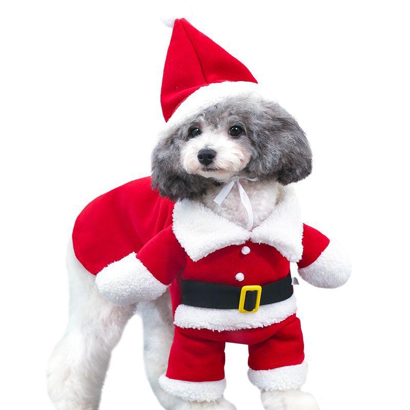 Santa Claus Costume for Dogs - Trendha