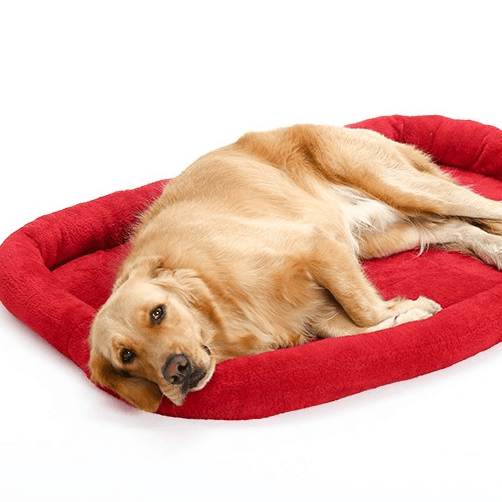 Warm Cushion Dog Mat in Various Sizes - Trendha
